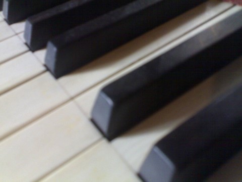 atelier du piano FREDERIC PINCEDE